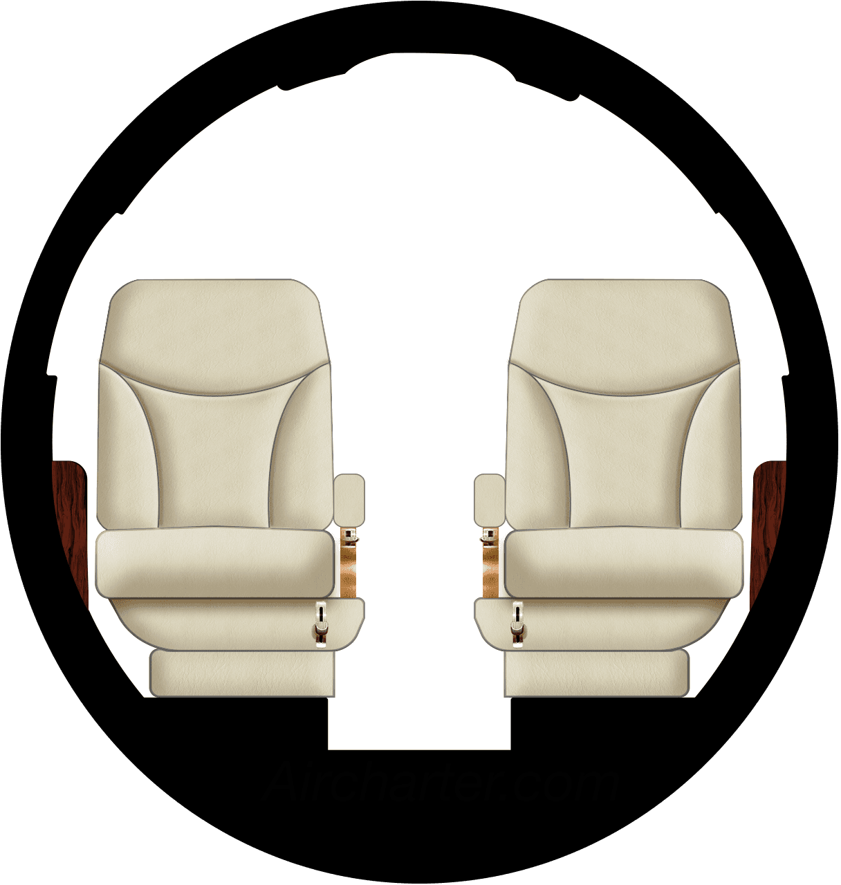 Falcon 100 Kabine