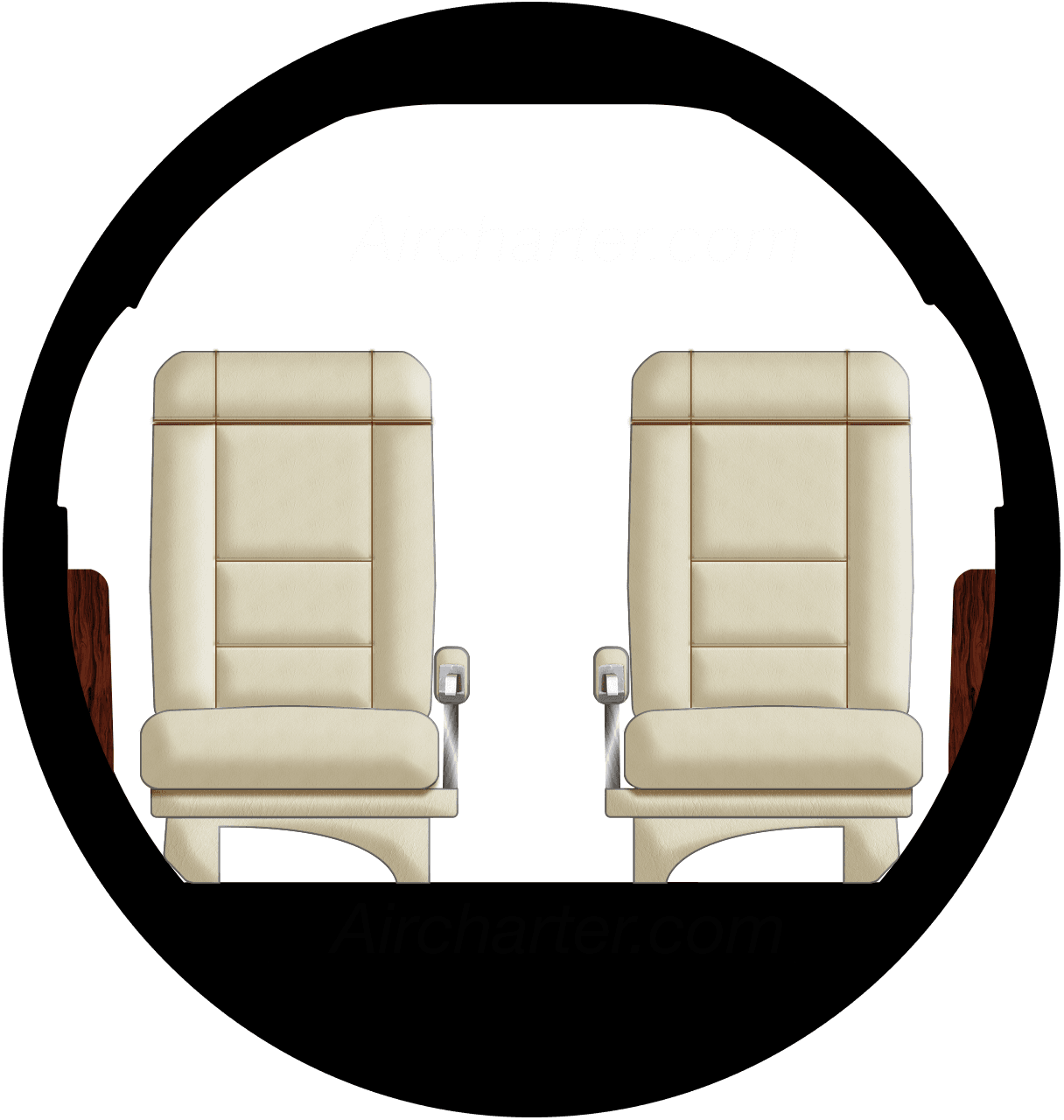 Falcon 10 Cabina
