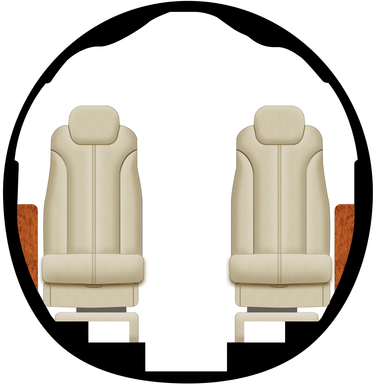 Citation X+ Cabine