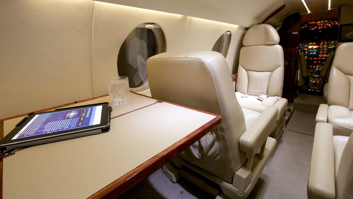 Falcon 100 Interior