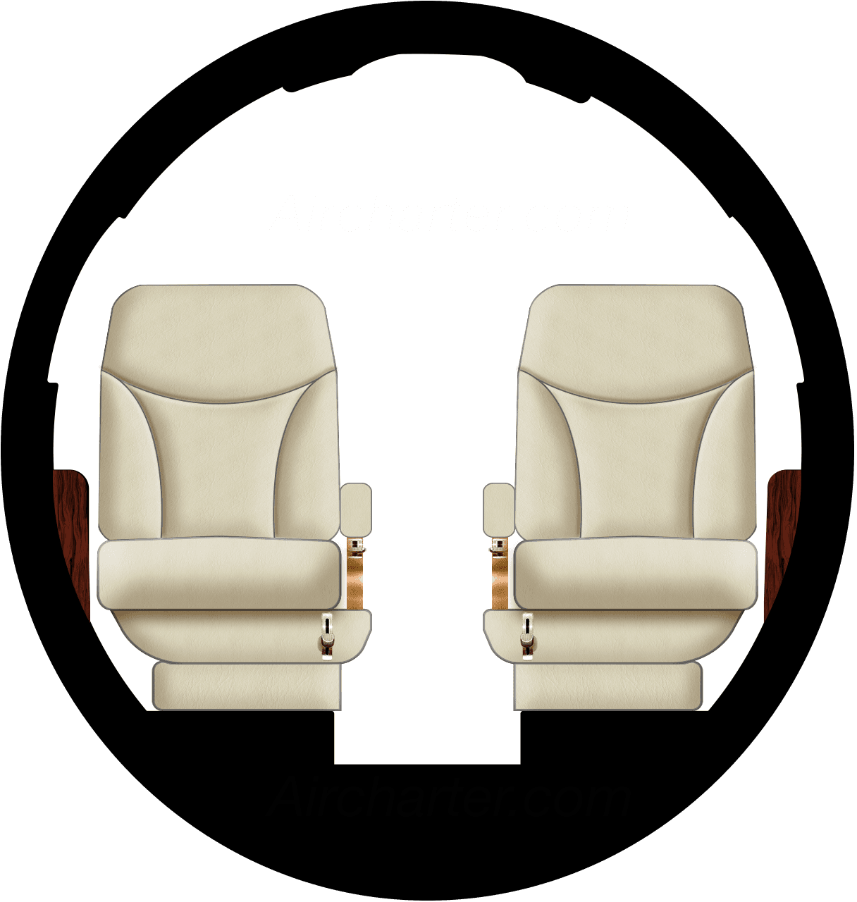 Falcon 100 Cabina