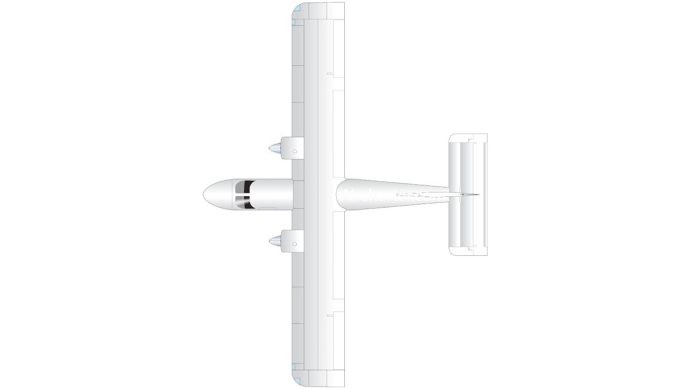 BN-2A ISLANDER in flight