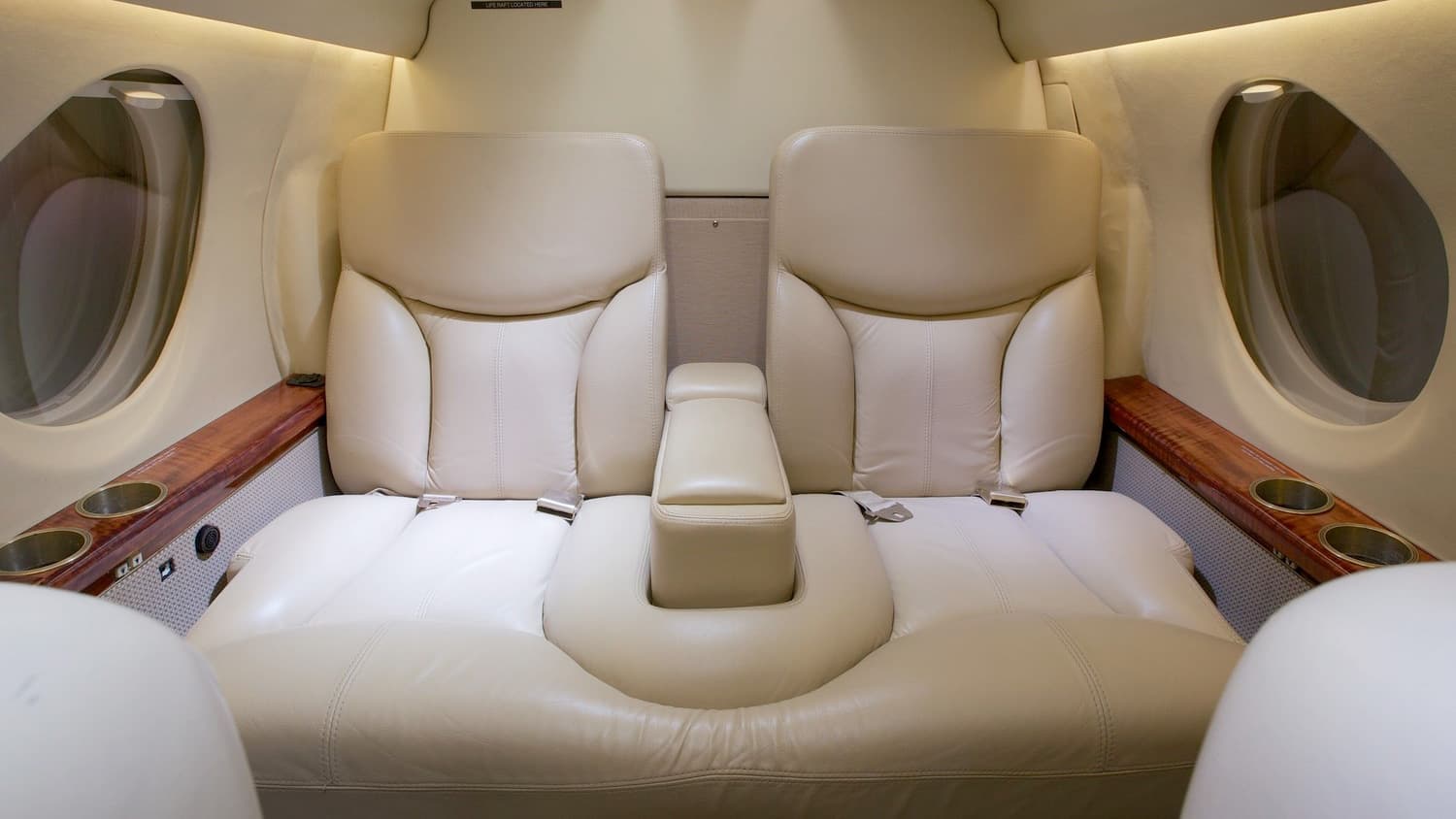 Falcon 100 Interior