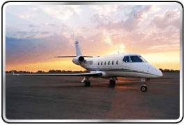 G100